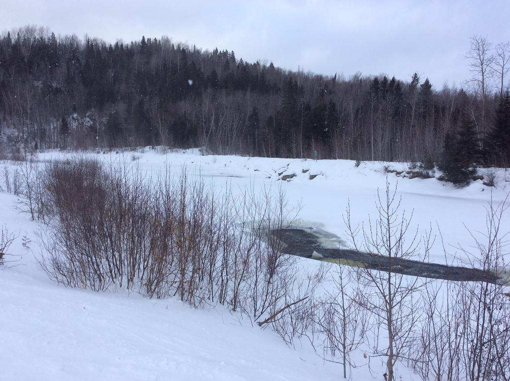 Camping Le 4 Chemins LʼAnse-Saint-Jean Exteriör bild